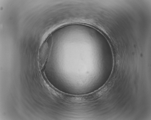 X0000056031508200509021808