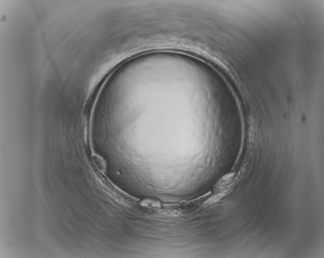 X0000056031509200509021808