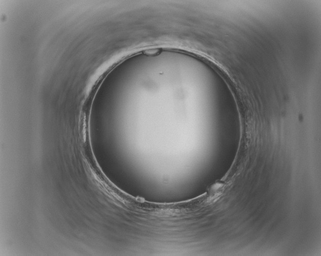 X0000056031510200509021808