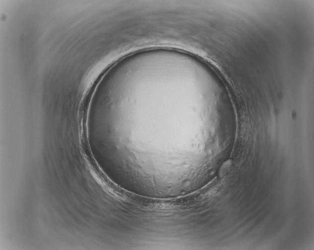 X0000056031511200509021808