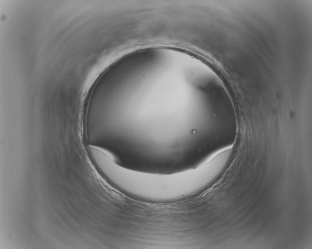 X0000056031512200509021808