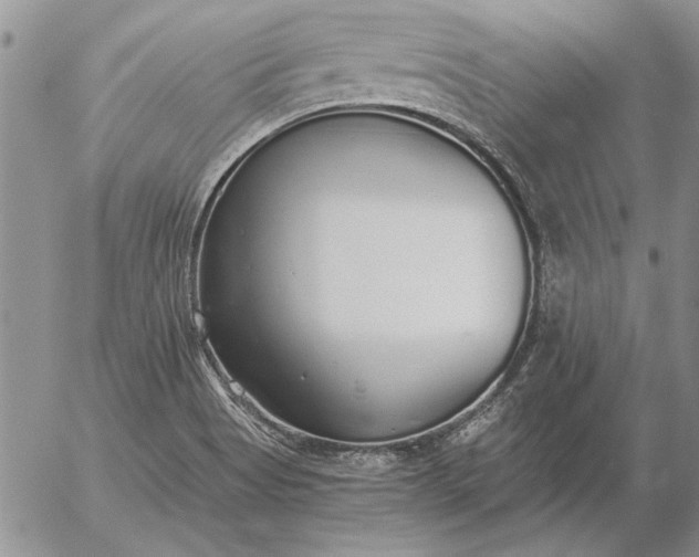 X0000056031513200509021808