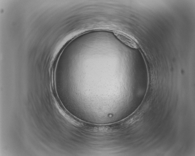 X0000056031515200509021808