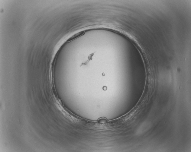 X0000056031516200509021808