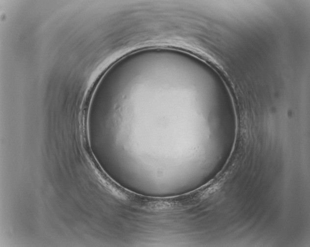 X0000056031517200509021808