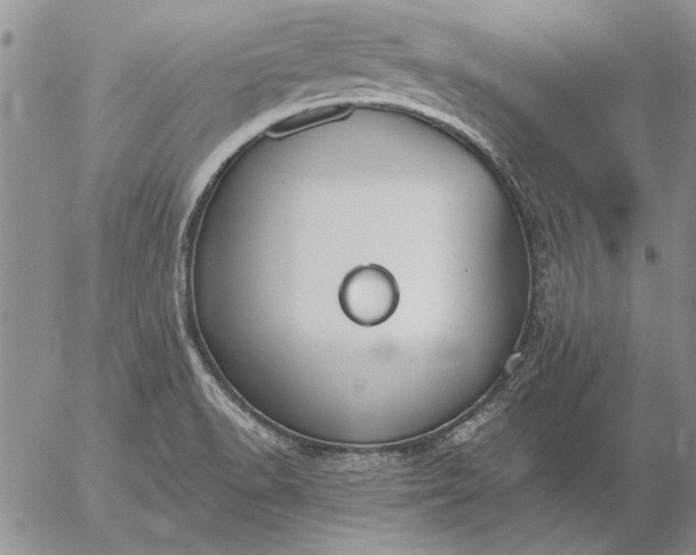 X0000056031518200509021808