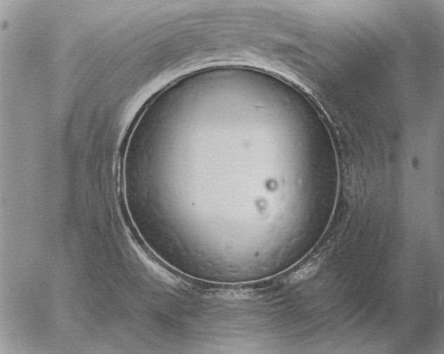 X0000056031519200509021808