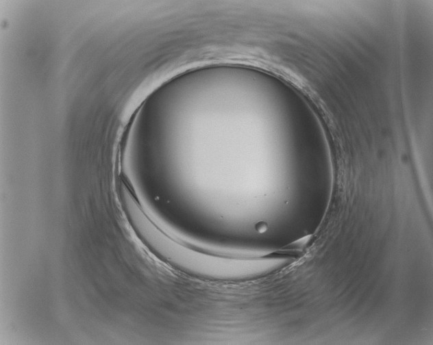 X0000056031520200509021808