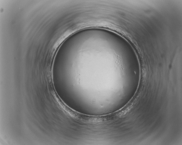 X0000056031521200509021808