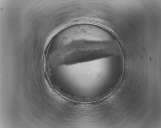 X0000056031522200509021808