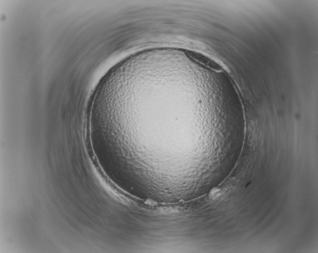 X0000056031523200509021808