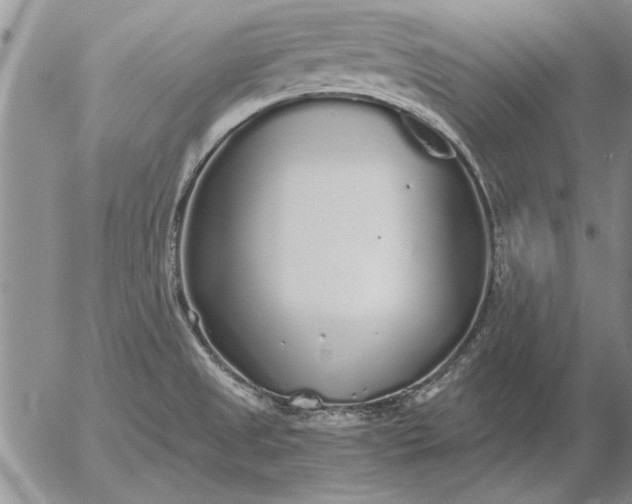 X0000056031525200509021808