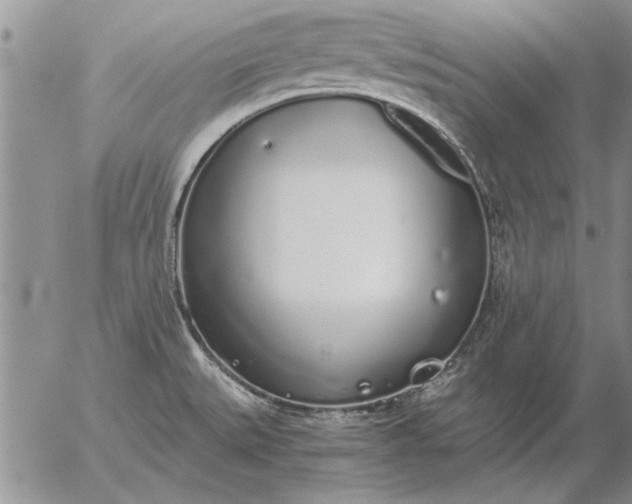 X0000056031527200509021808