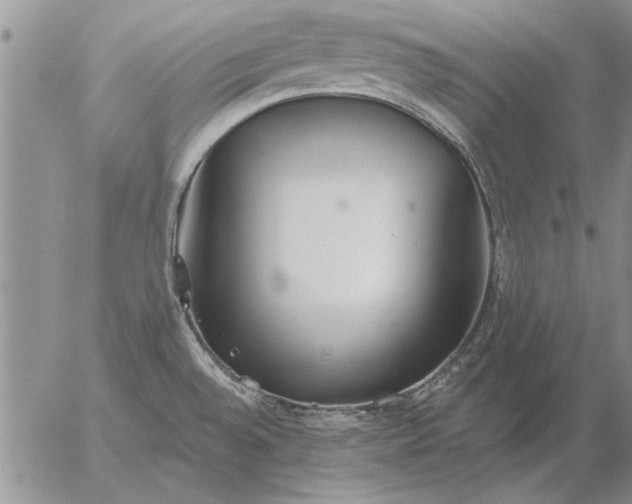 X0000056031528200509021808