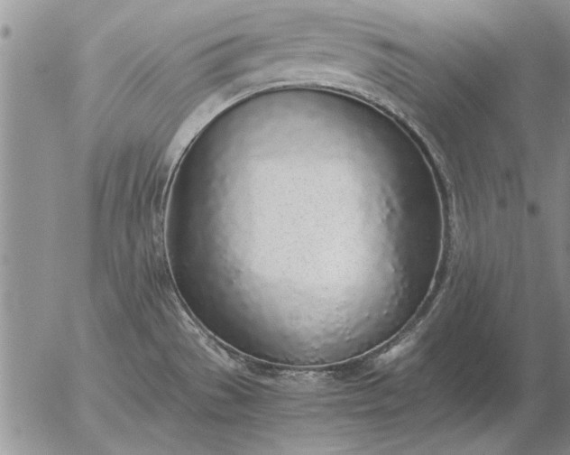 X0000056031529200509021808