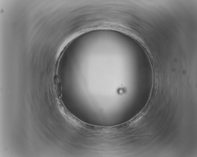 X0000056031530200509021808