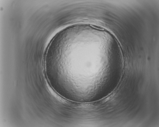 X0000056031531200509021809