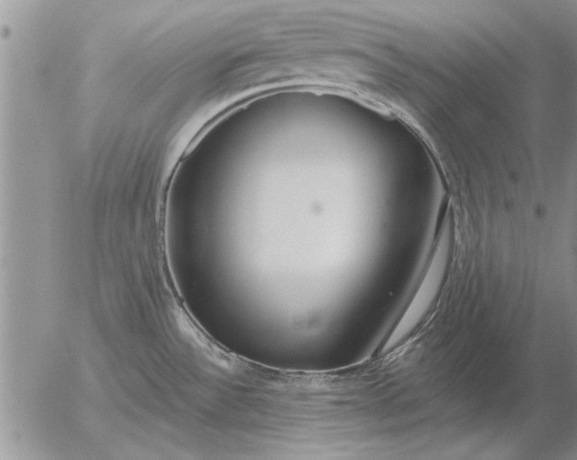 X0000056031532200509021809