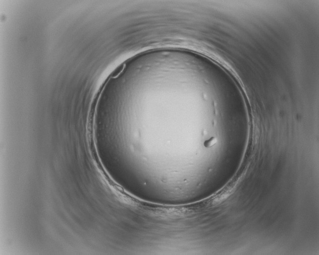 X0000056031533200509021809