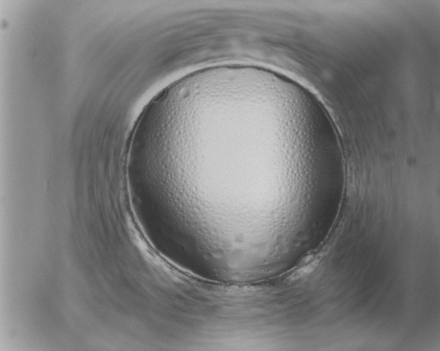 X0000056031534200509021809