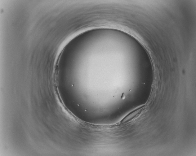 X0000056031536200509021809