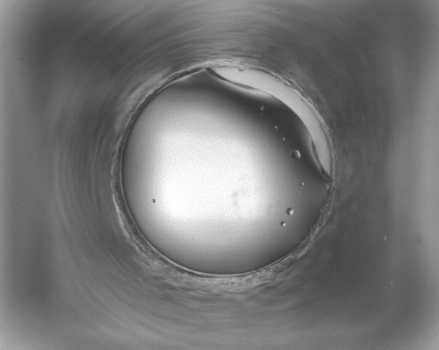 X0000056030001200509092217