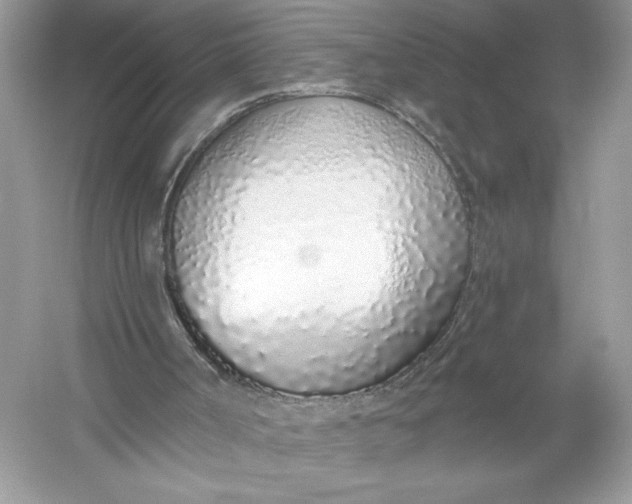 X0000056030002200509092217