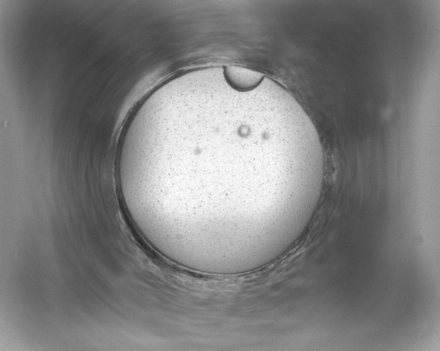 X0000056030004200509092217