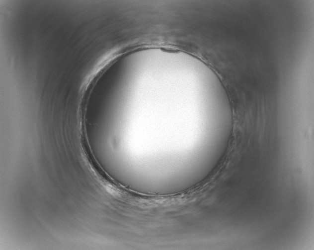 X0000056030005200509092217