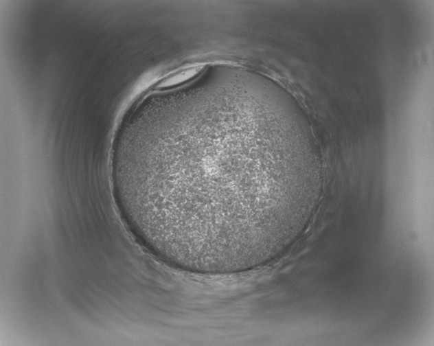 X0000056030006200509092217