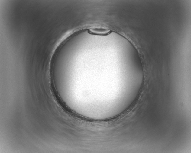 X0000056030008200509092217