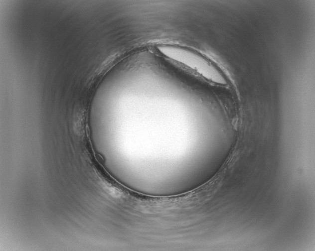 X0000056030009200509092217