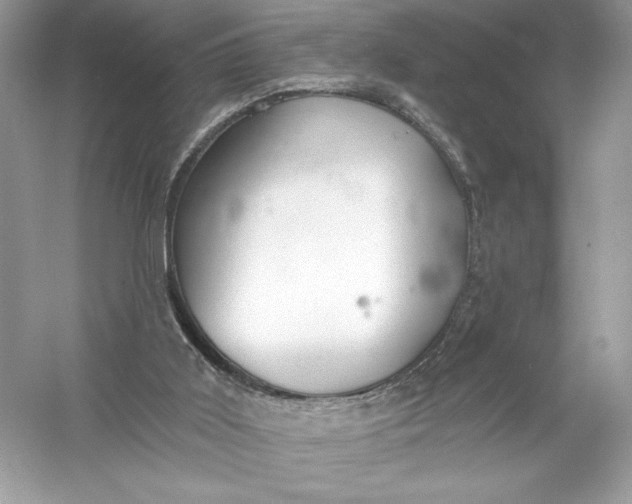 X0000056030011200509092217