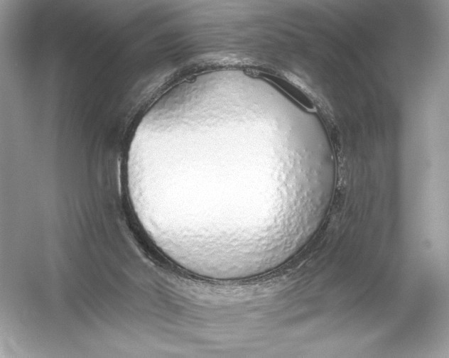 X0000056030014200509092217