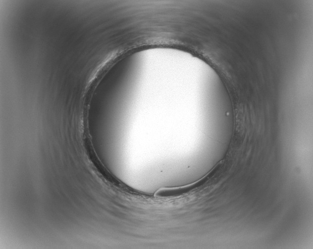 X0000056030015200509092217