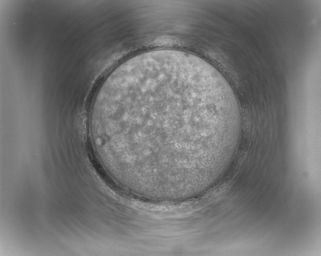 X0000056030016200509092217