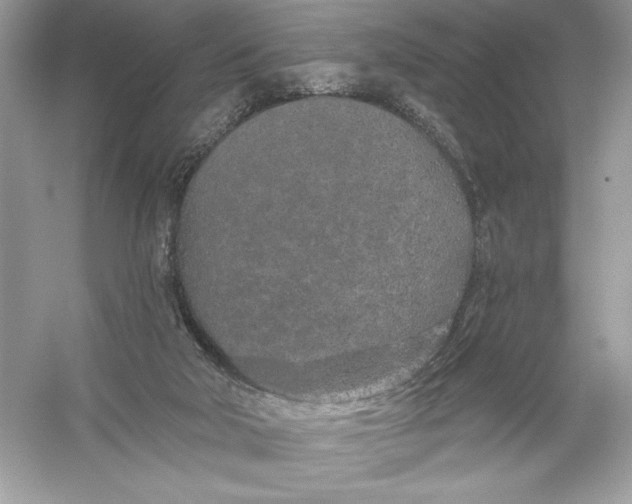 X0000056030018200509092217