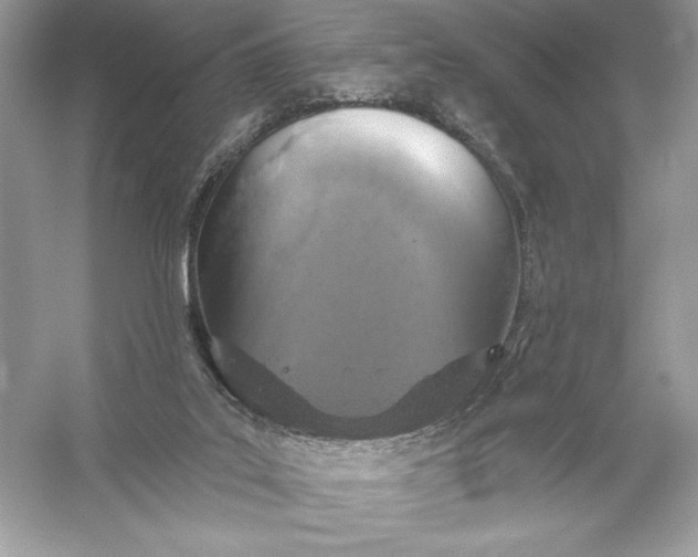 X0000056030019200509092217