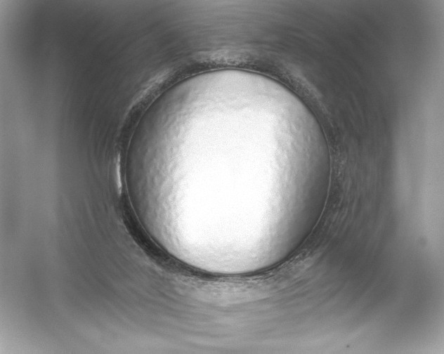 X0000056030020200509092217