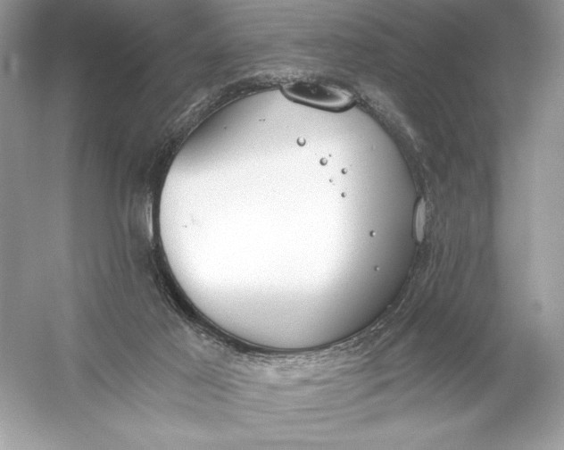 X0000056030021200509092217