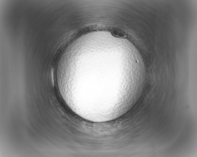 X0000056030022200509092217