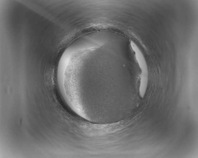 X0000056030023200509092217