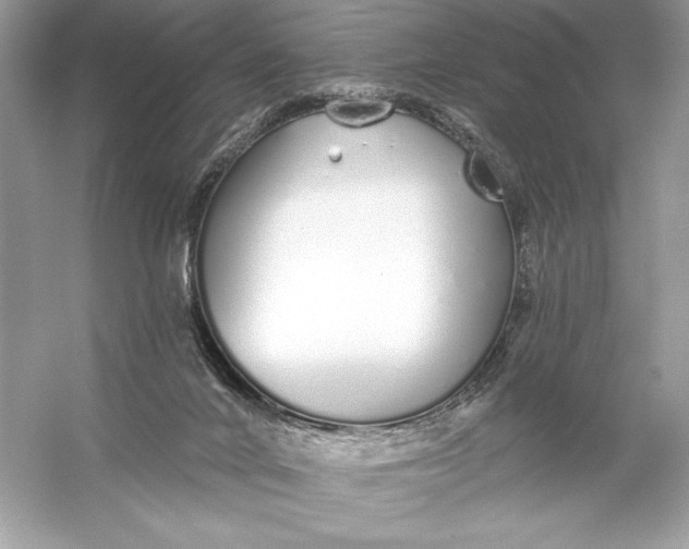 X0000056030024200509092217