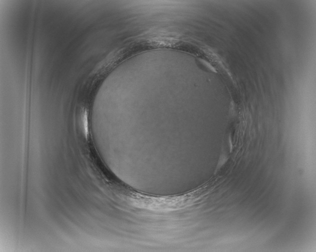 X0000056030027200509092217