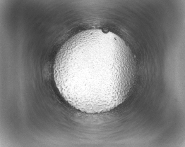 X0000056030030200509092217