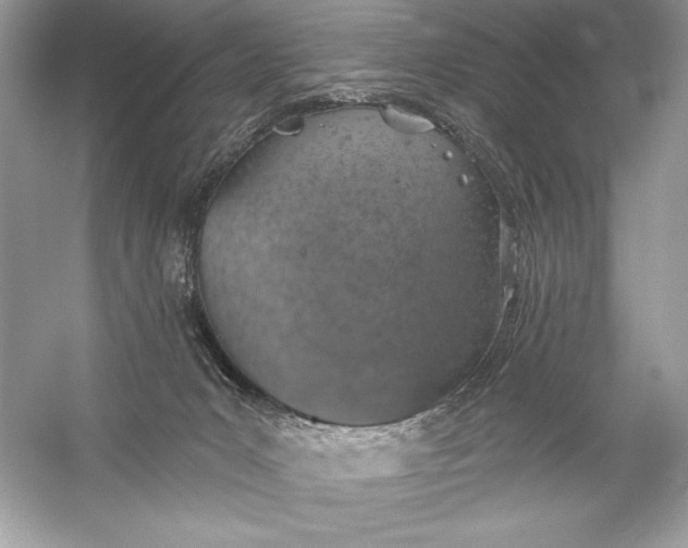 X0000056030031200509092217