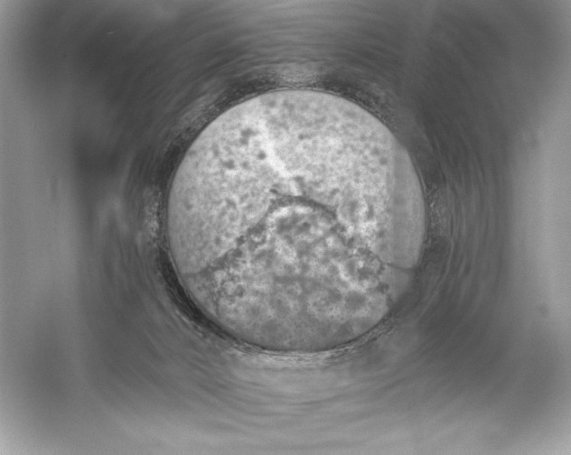 X0000056030032200509092217