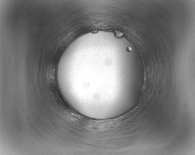 X0000056030033200509092217