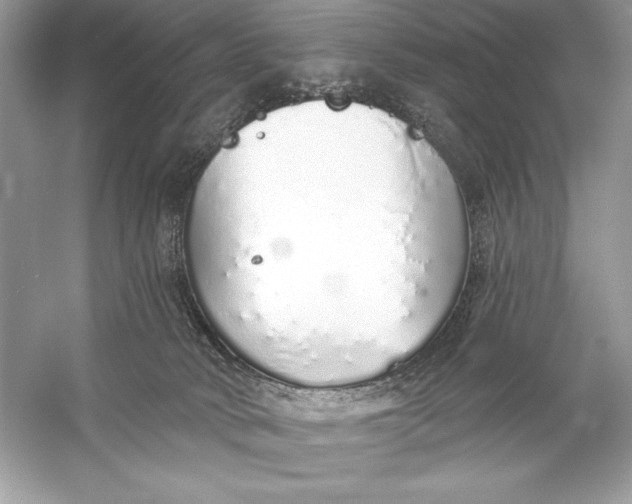 X0000056030034200509092217