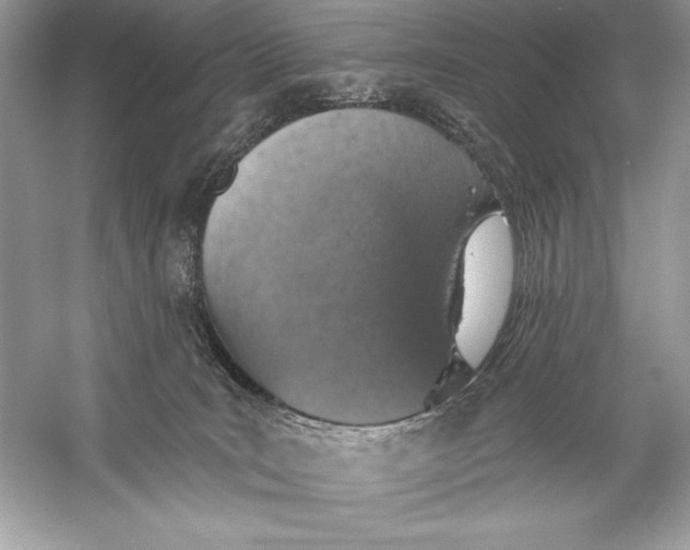 X0000056030035200509092217